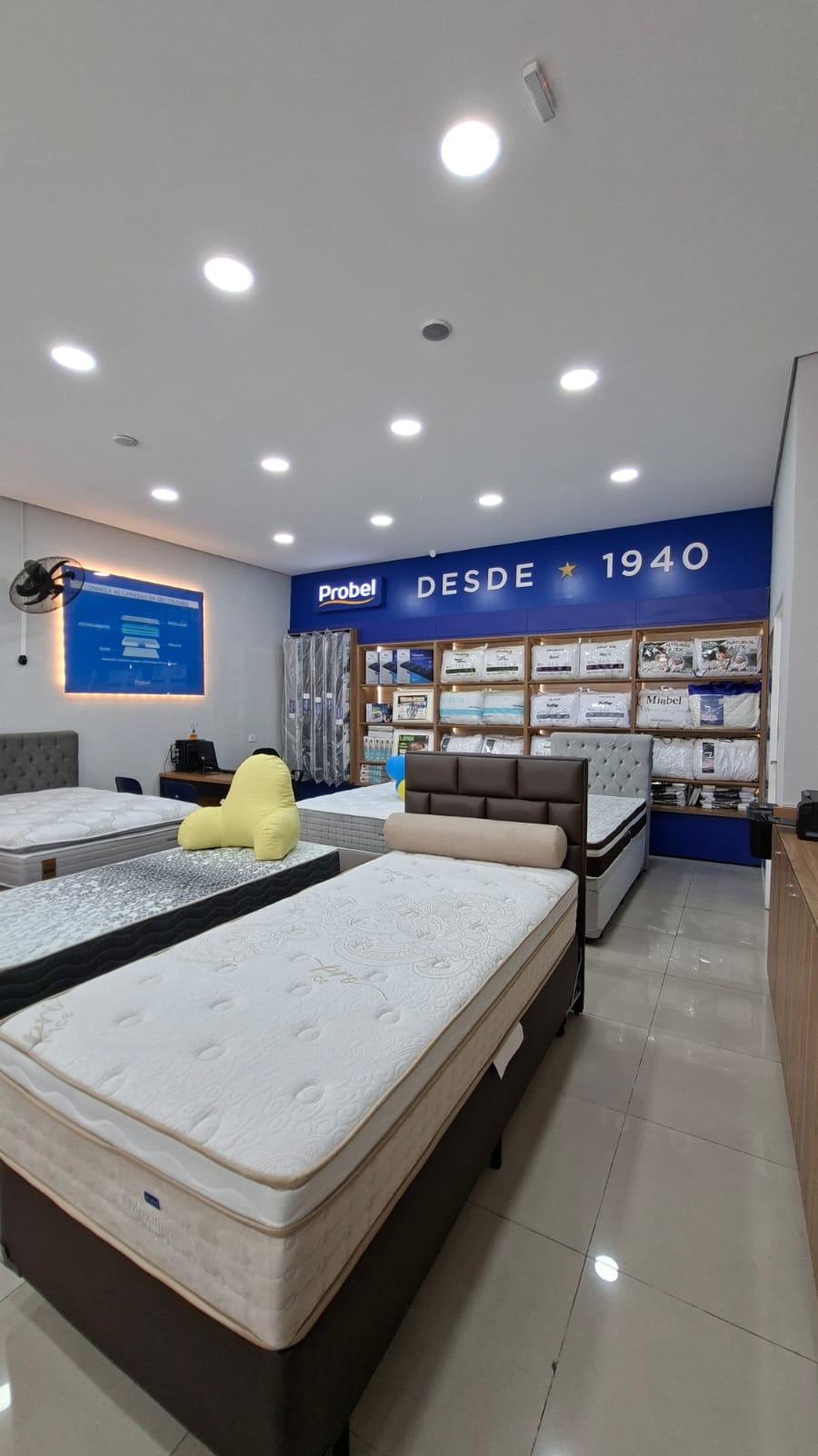 Parede da loja Probel com o selo Desde 1940 e prateleiras de travesseiros